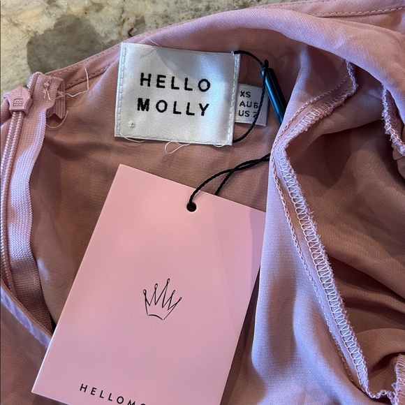 Hello Molly Not Fair On Me One-Shoulder Ruffle Dress in Dusty Rose Size XS NWT - Picture 6 of 6